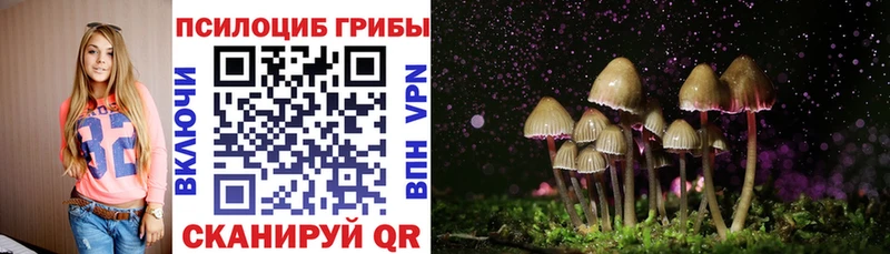 Псилоцибиновые грибы Psilocybe  hydra ССЫЛКА  Тотьма  купить  